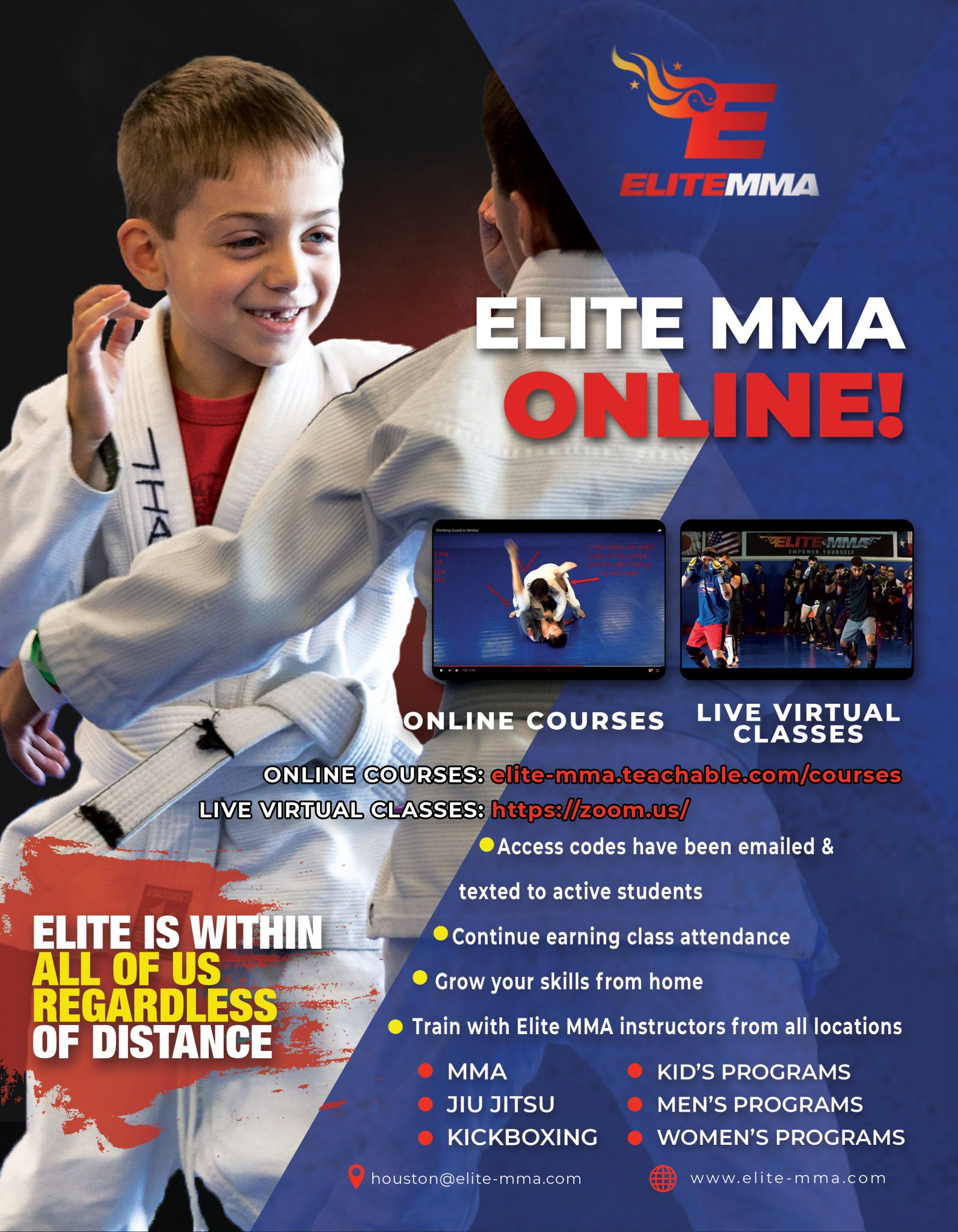 mma lessons online